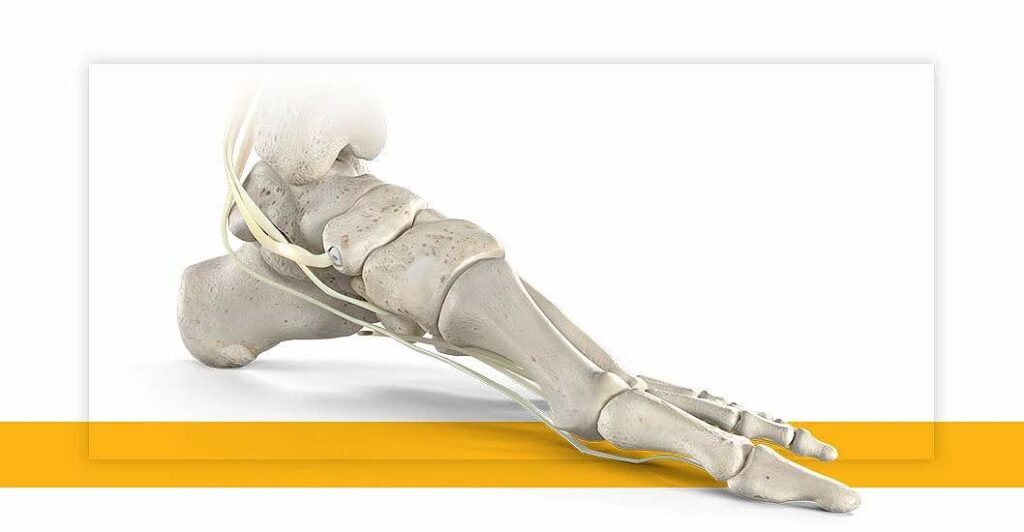 Stryker Introduces New Tendon Fixation Device System
