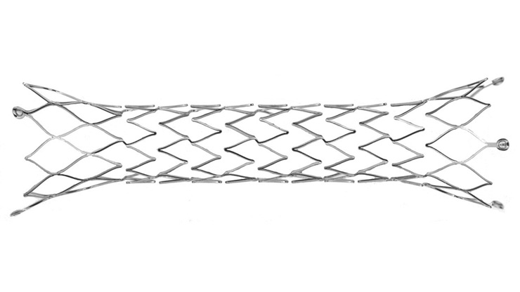 Starlight Cardiovascular-Lifeline Ductus Arteriosus Stent