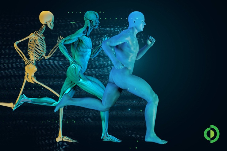 Advita-Ortho-New-AI-Driven-Research-Advancing-Personalized-Joint-Replacement-Hero