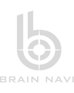 Brain Navi logo